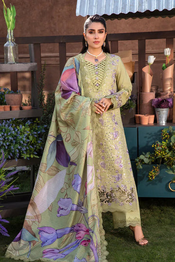 Rangrasiya | Premium Collection 24 | AYSEL - Aqsa Fabrics