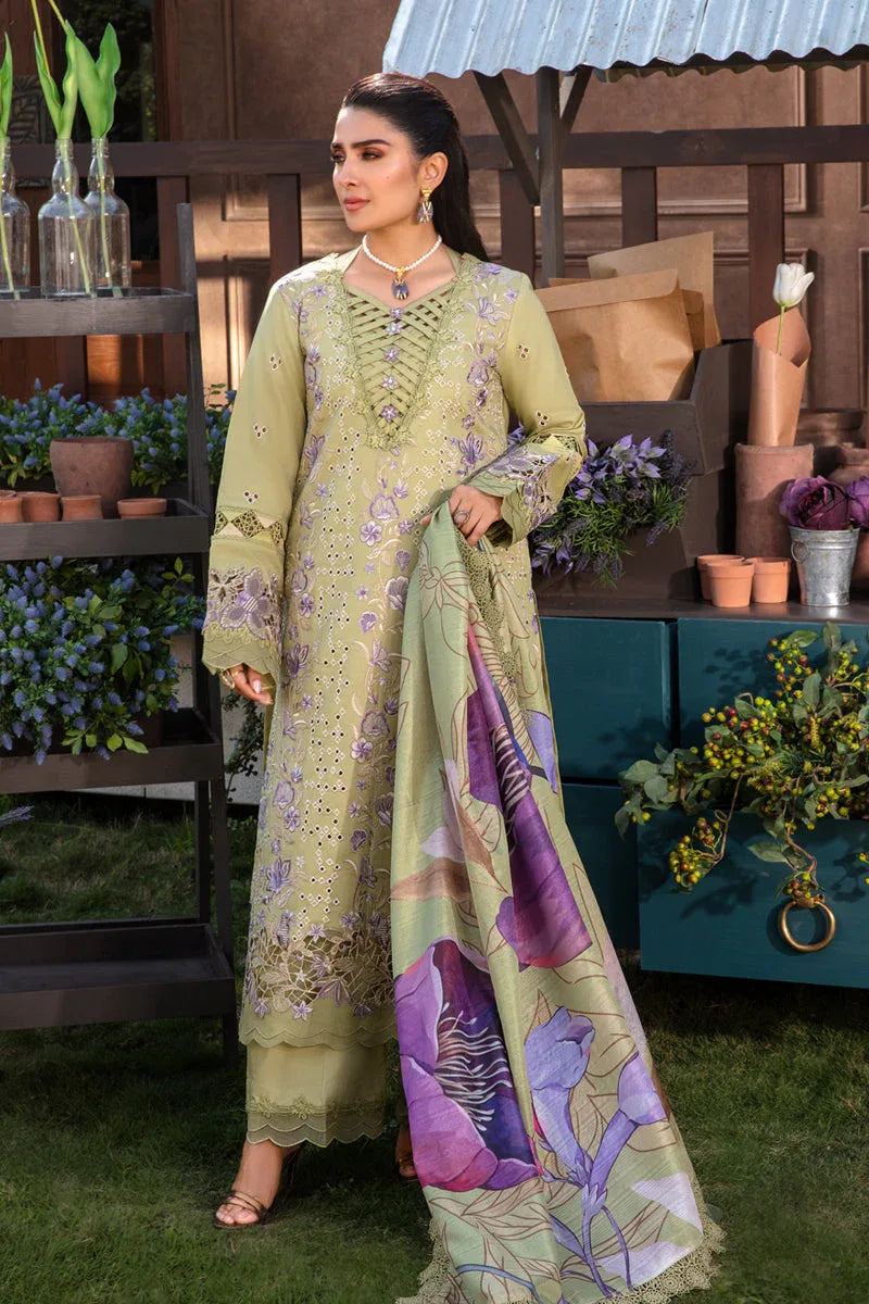 Rangrasiya | Premium Collection 24 | AYSEL - Aqsa Fabrics