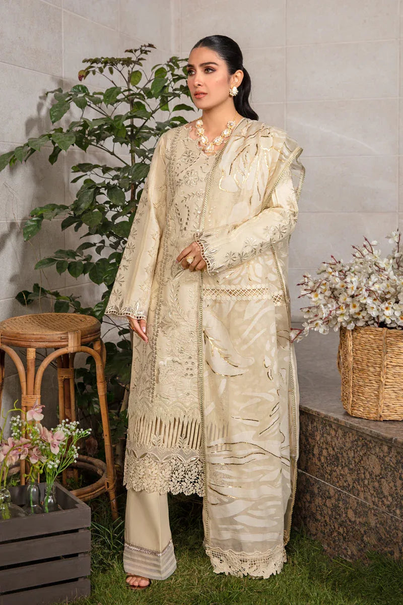 Rangrasiya | Premium Collection 24 | HAYA - Aqsa Fabrics