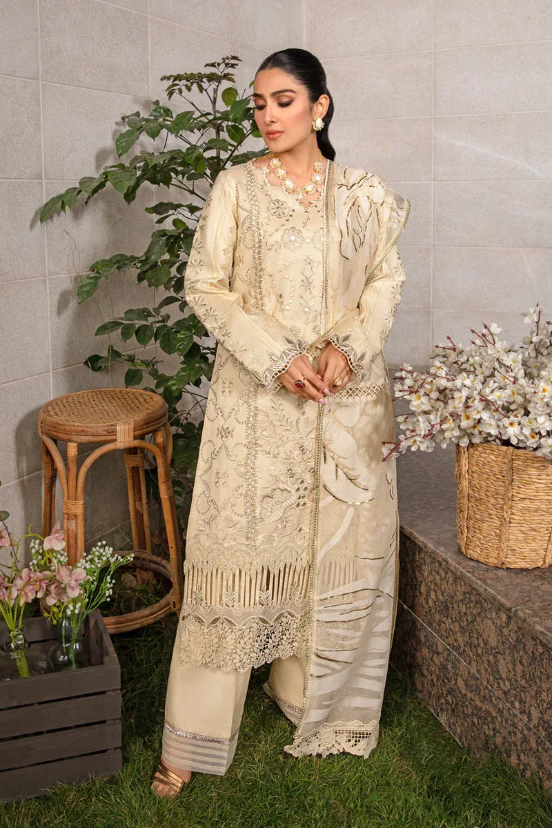Rangrasiya | Premium Collection 24 | HAYA - Aqsa Fabrics