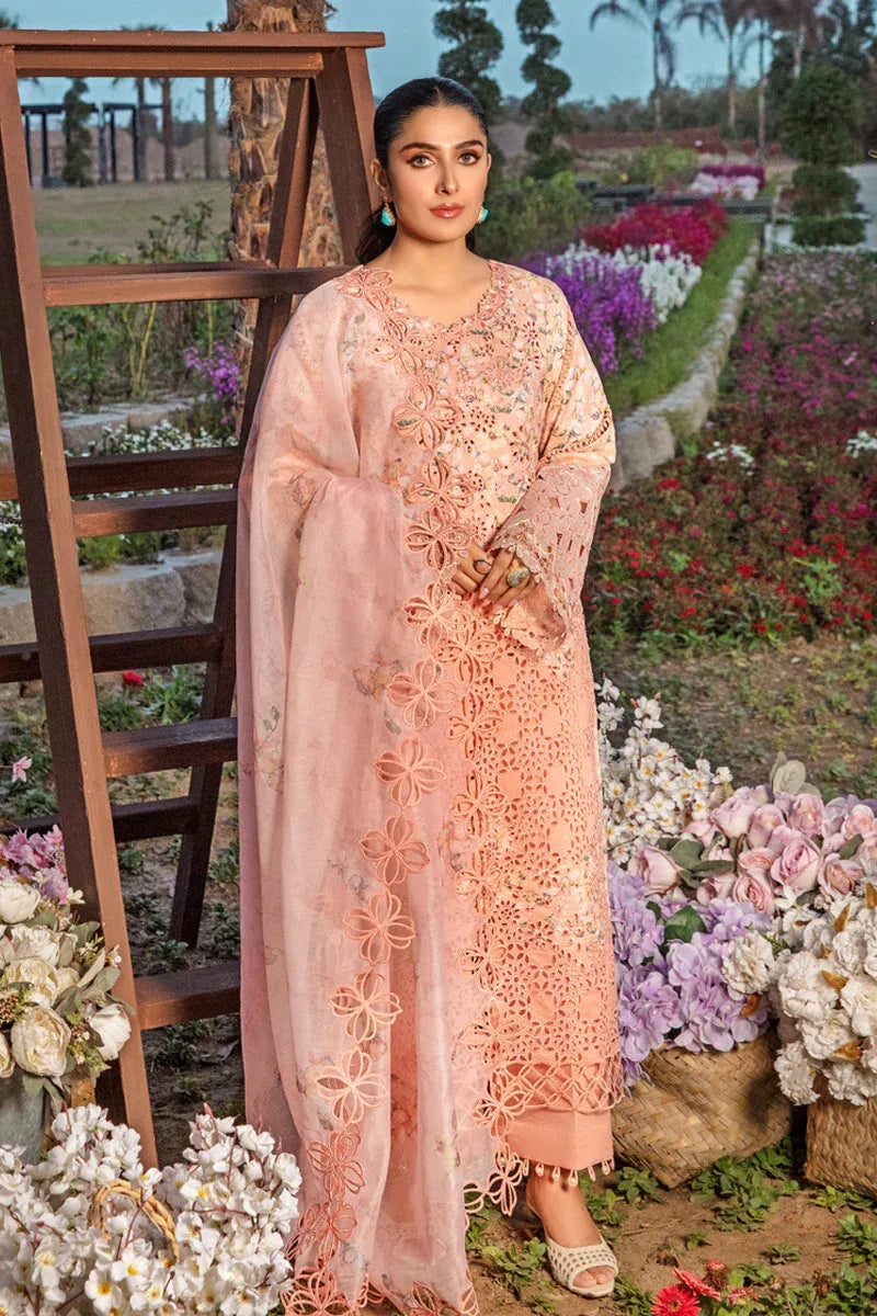 Rangrasiya | Premium Collection 24 | MAHI - Aqsa Fabrics