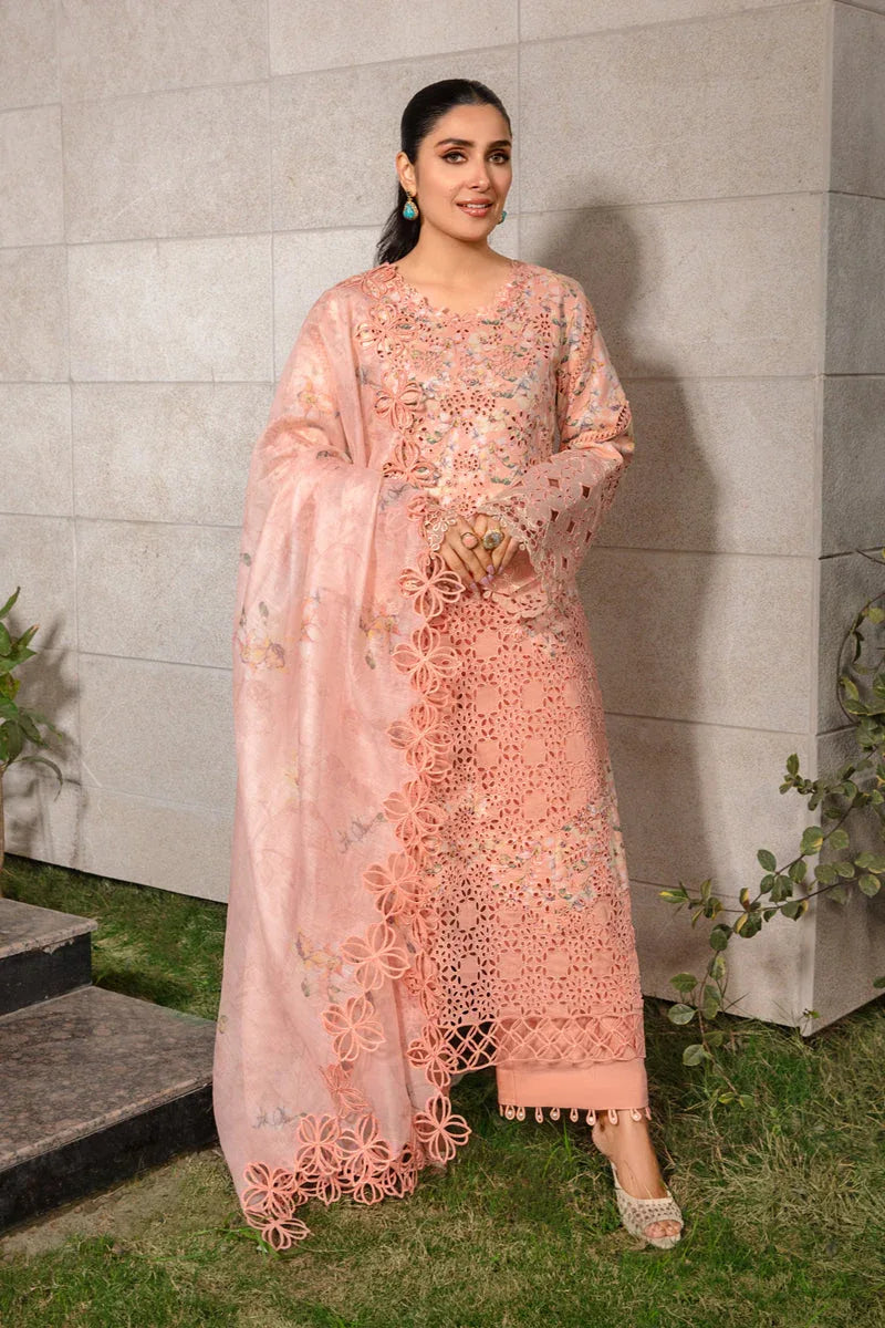 Rangrasiya | Premium Collection 24 | MAHI - Aqsa Fabrics