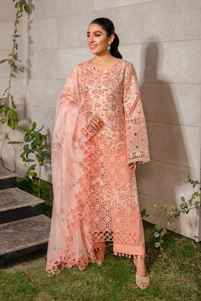 Rangrasiya | Premium Collection 24 | MAHI - Aqsa Fabrics