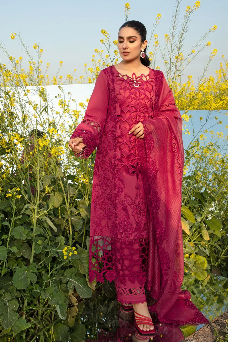Rangrasiya | Premium Collection 24 | MAYA - Aqsa Fabrics
