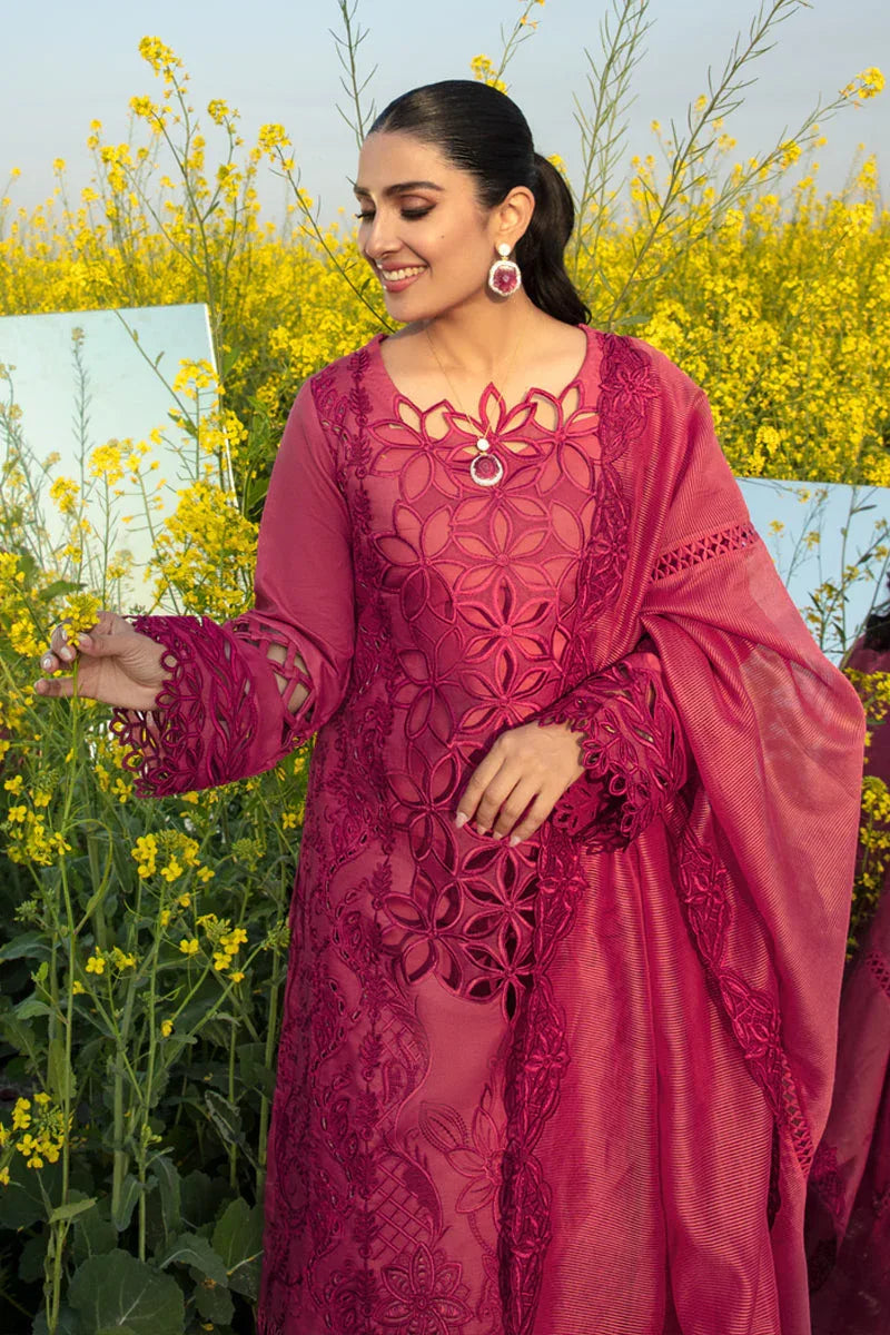 Rangrasiya | Premium Collection 24 | MAYA - Aqsa Fabrics