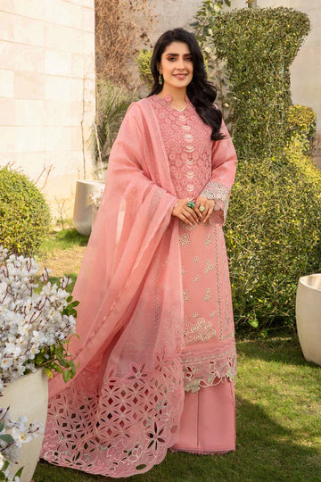 Rangrasiya | Premium Collection 24 | PARISA - Aqsa Fabrics