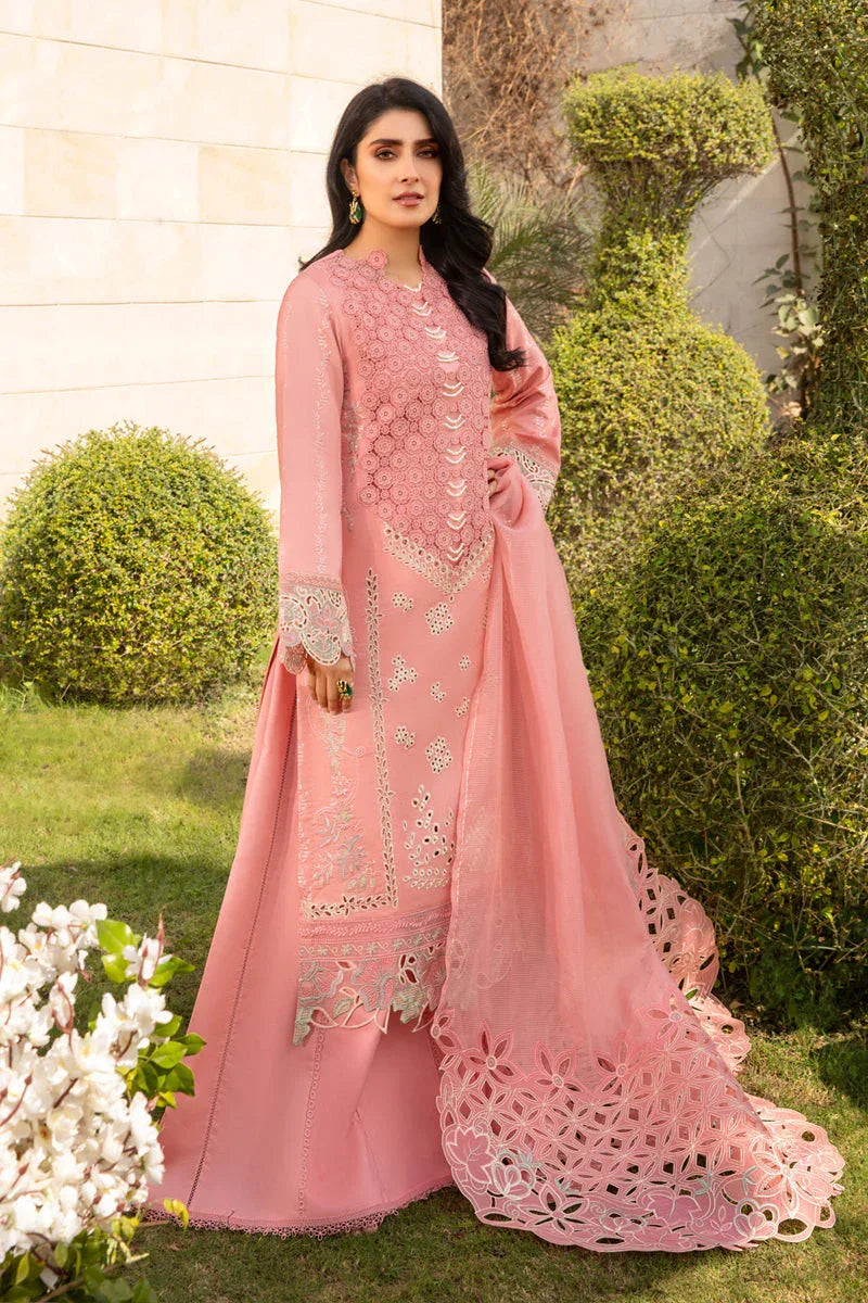 Rangrasiya | Premium Collection 24 | PARISA - Aqsa Fabrics