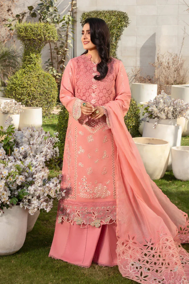 Rangrasiya | Premium Collection 24 | PARISA - Aqsa Fabrics