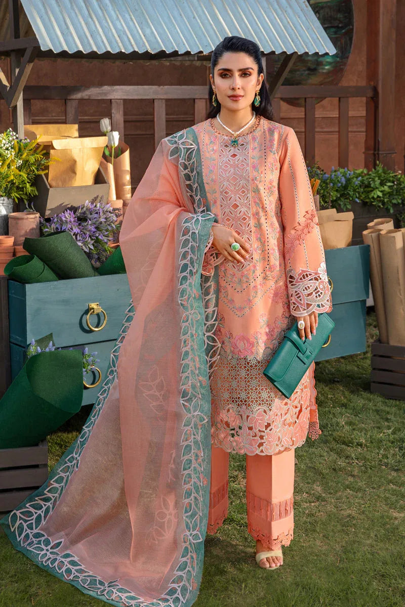 Rangrasiya | Premium Collection 24 | RANIA - Aqsa Fabrics