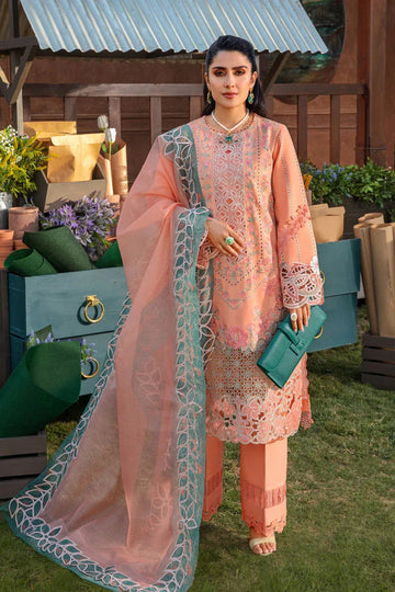 Rangrasiya | Premium Collection 24 | RANIA - Aqsa Fabrics