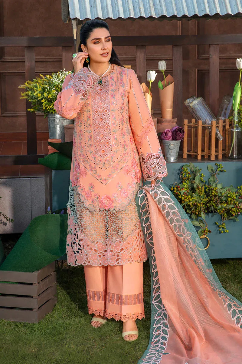 Rangrasiya | Premium Collection 24 | RANIA - Aqsa Fabrics