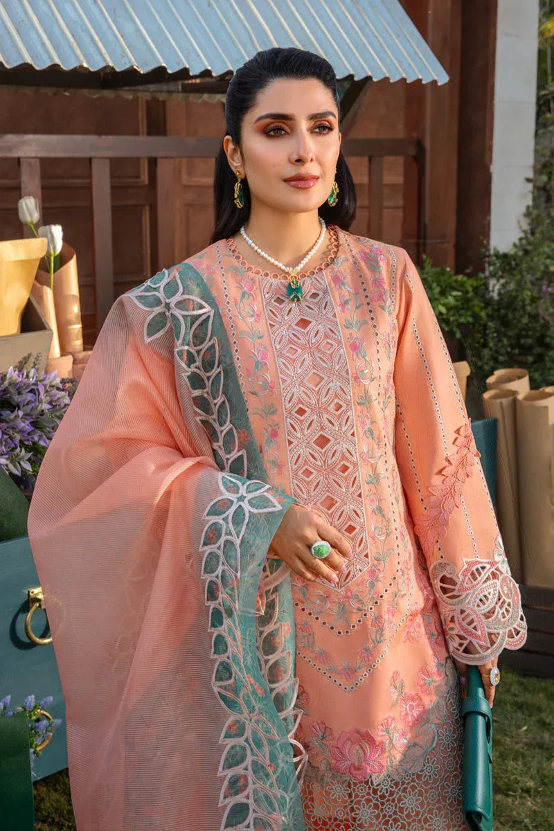 Rangrasiya | Premium Collection 24 | RANIA - Aqsa Fabrics