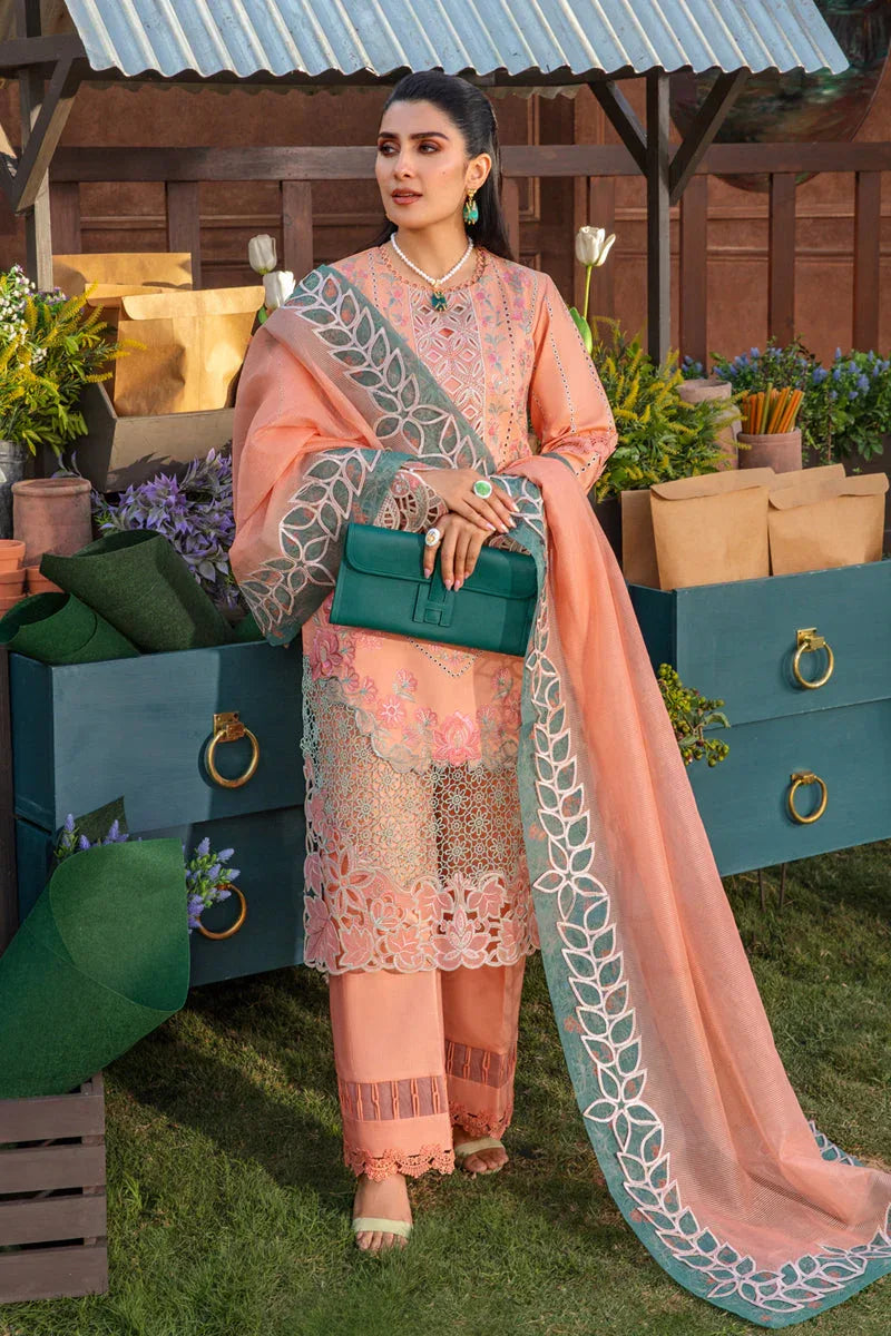 Rangrasiya | Premium Collection 24 | RANIA - Aqsa Fabrics