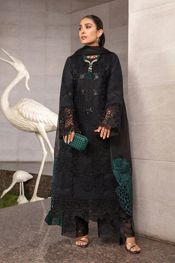 Rangrasiya | Premium Collection 24 | ZOYA - Aqsa Fabrics