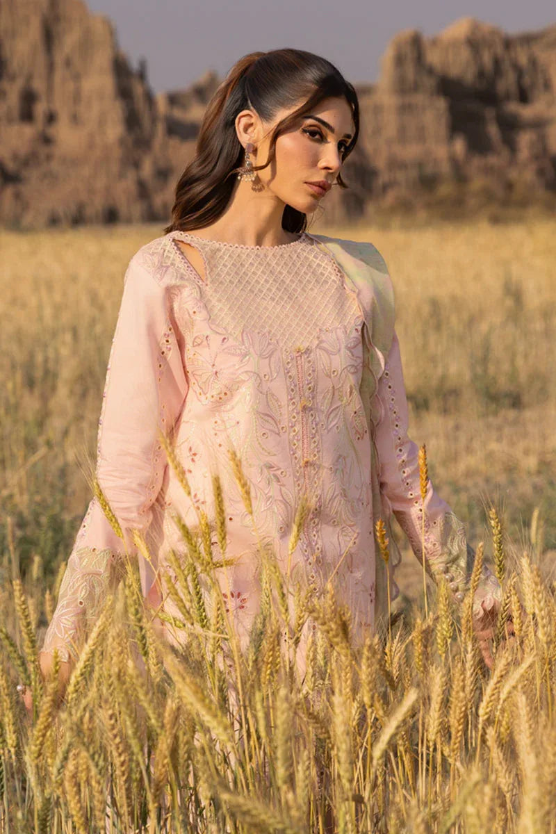 Rangrasiya | Premium Eid Edit 25 | Nehal - Aqsa Fabrics