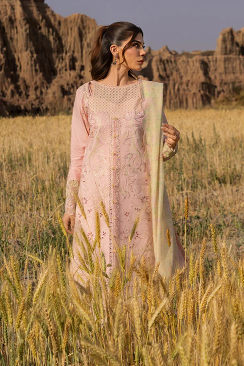 Rangrasiya | Premium Eid Edit 25 | Nehal - Aqsa Fabrics