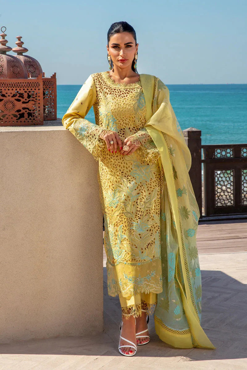 Rangrasiya | Premium Summer Lawn 25 | Minal - Aqsa Fabrics