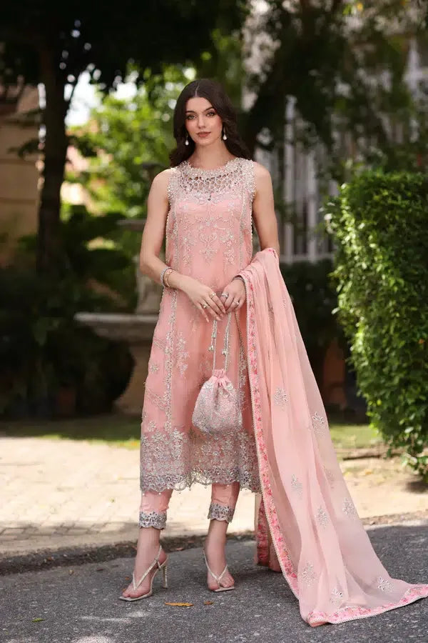 Noor by Saadia Asad | Chiffon Formals 23 | D2-Ekai - Aqsa Fabrics