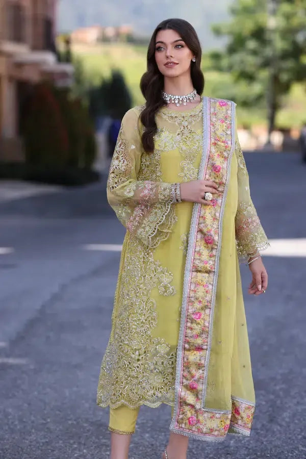Noor by Saadia Asad | Chiffon Formals 23 | D4-Minali - Aqsa Fabrics