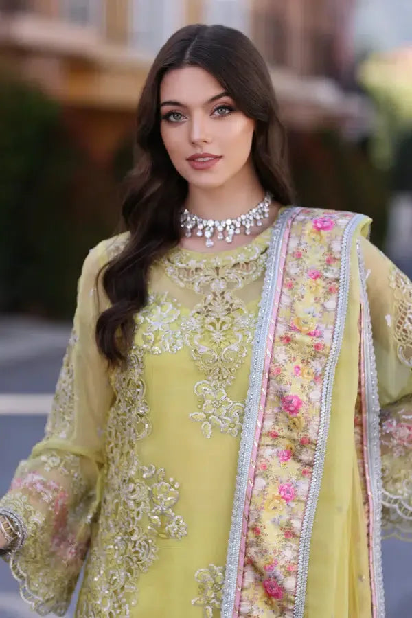 Noor by Saadia Asad | Chiffon Formals 23 | D4-Minali - Aqsa Fabrics