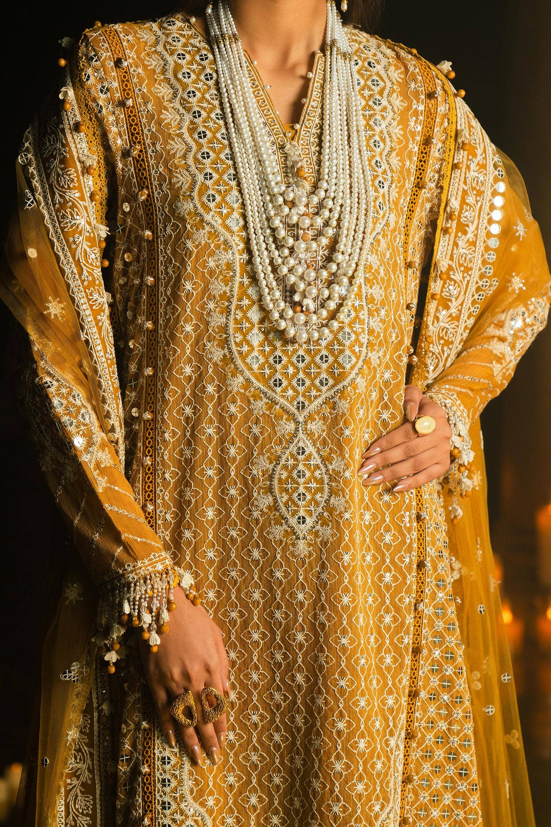 Sana Safinaz | Luxury Collection 24 | L241-002B-3CT - Aqsa Fabrics