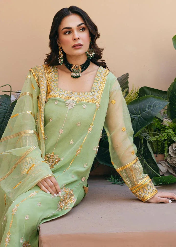 Daud Abbas | Formals Collection | Sunahri