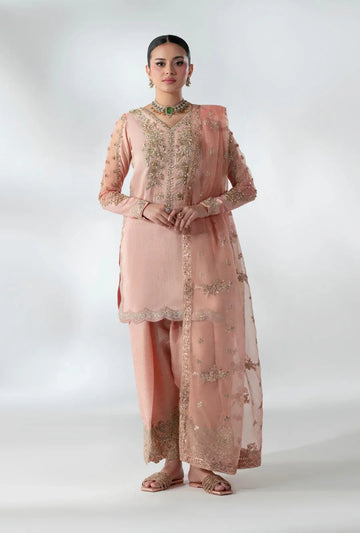 AJR Couture | Luxe Pret 25 |  Ankara Allure - Aqsa Fabrics