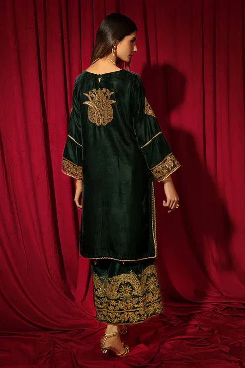 Declare | Velvet Collection 24 |   V1004 - Aqsa Fabrics