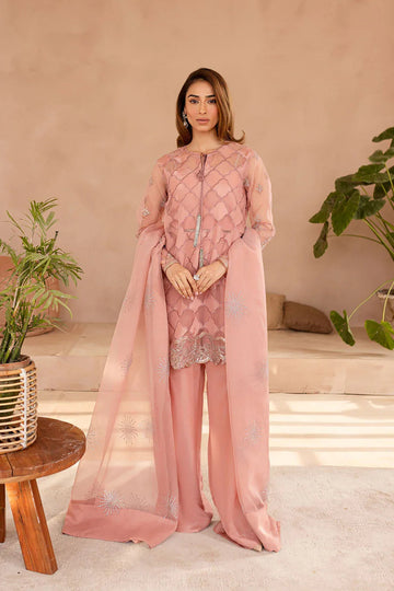 Vanya | Veranda Fromals |  VR-02 - Aqsa Fabrics