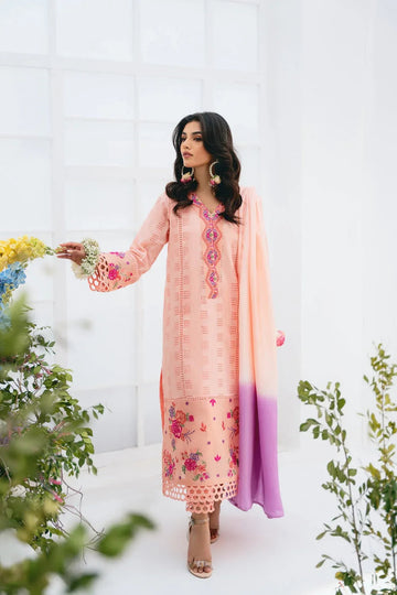 Vintage | Eid Edit 24 | Rumeha - Aqsa Fabrics
