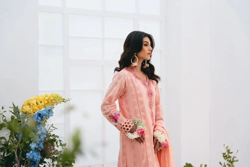 Vintage | Eid Edit 24 | Rumeha - Aqsa Fabrics