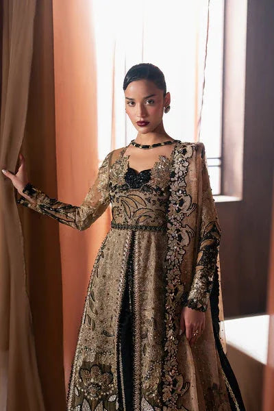 Afrozeh | Hayat Formals 25 | Rayyan - Aqsa Fabrics