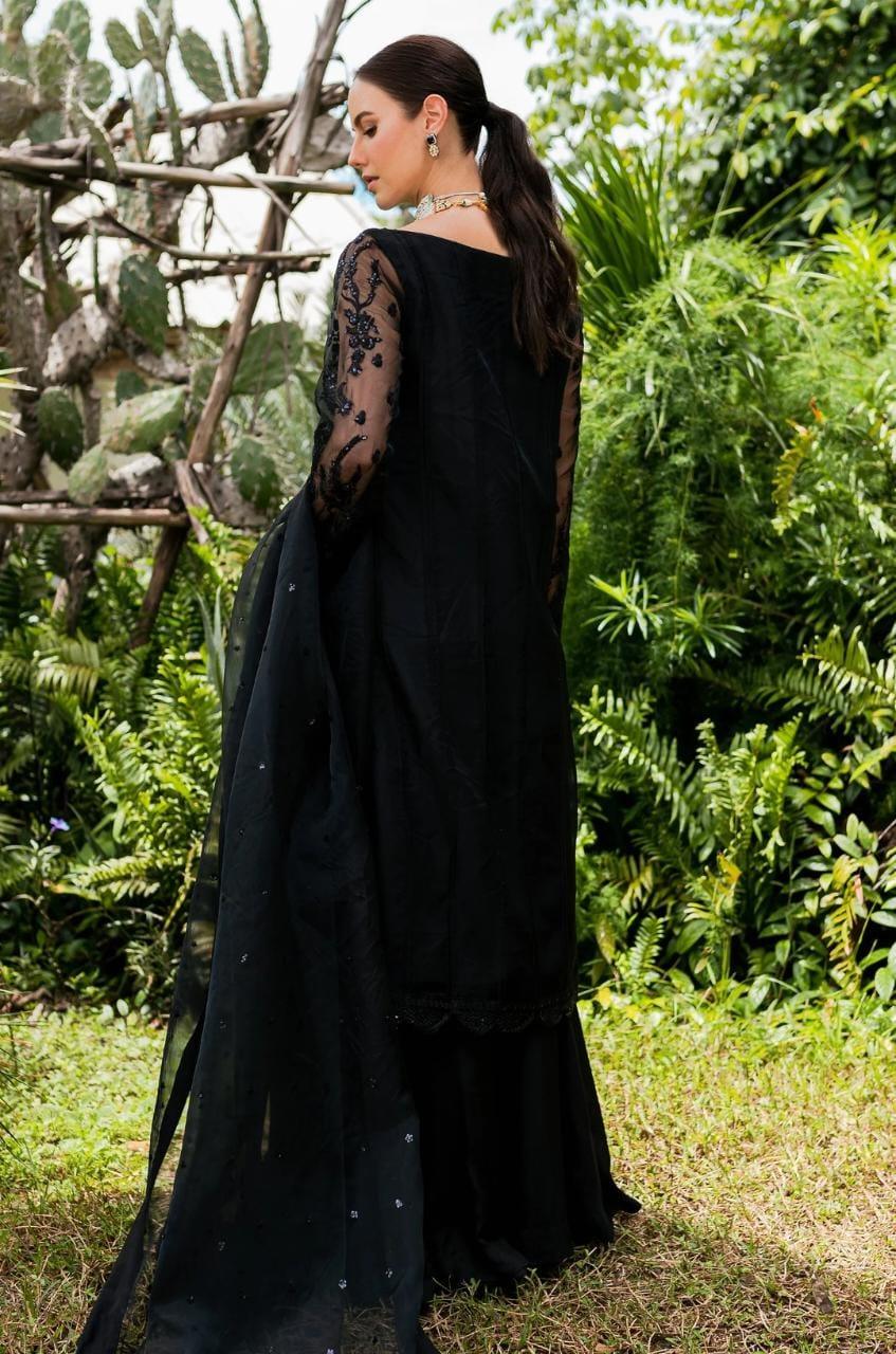 Maryum N Maria | Sorina Luxury Chiffon 23 | Raven (MW23-507) - Aqsa Fabrics