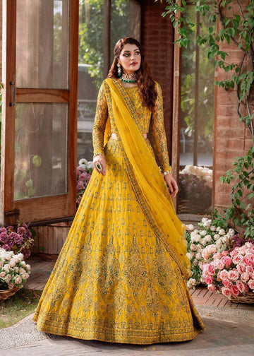 Akbar Aslam - Shehernaz - Aqsa Fabrics