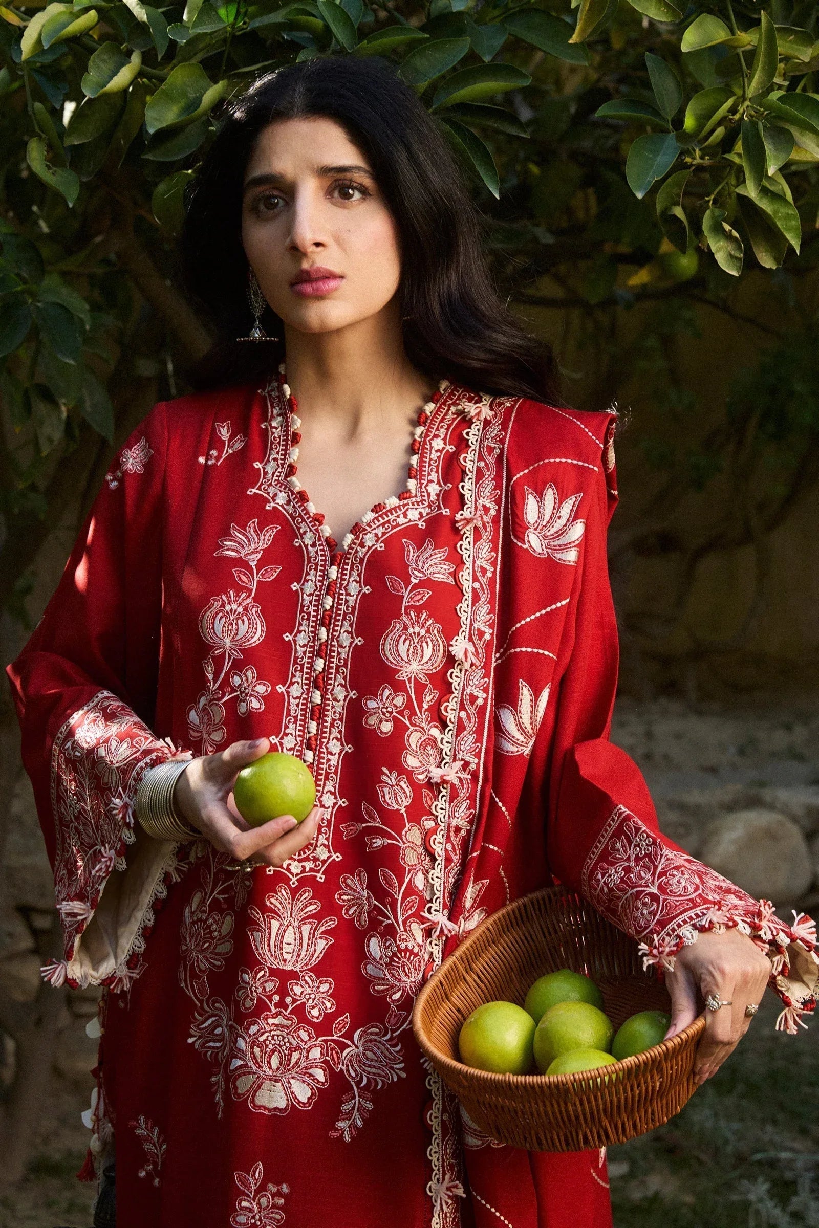 Zaha | Winter 2024 |  DILARA (ZW24-02) - Aqsa Fabrics