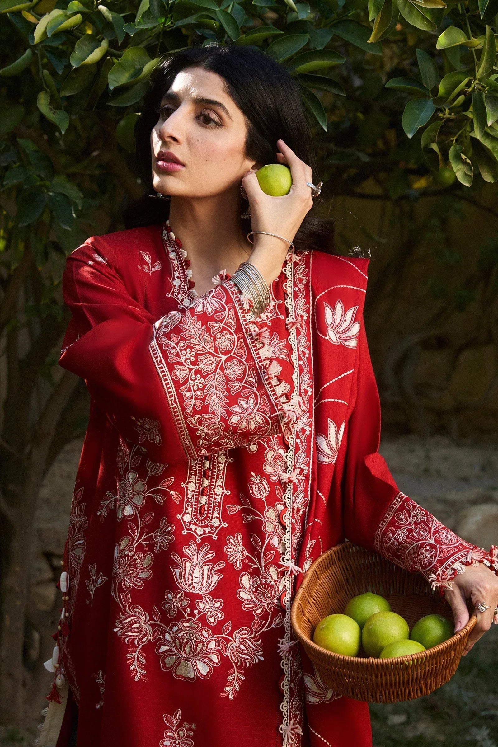 Zaha | Winter 2024 |  DILARA (ZW24-02) - Aqsa Fabrics