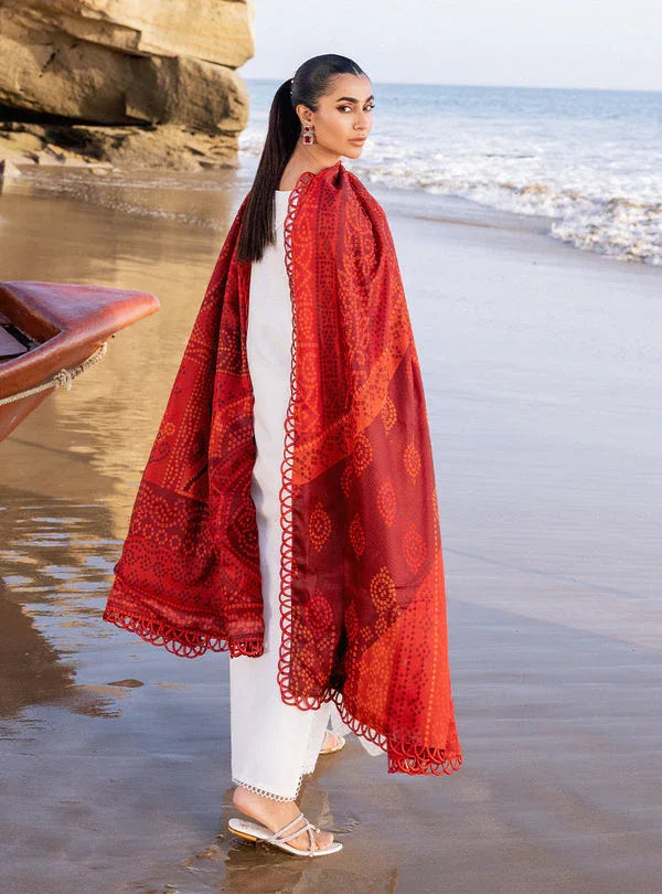 Zainab chottani | Luxury Chikankari 24 | CHUNARI - 3A - Aqsa Fabrics