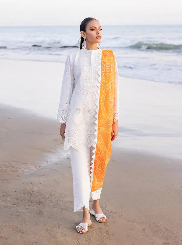 Zainab chottani | Luxury Chikankari 24 | CHUNARI - 3B - Aqsa Fabrics