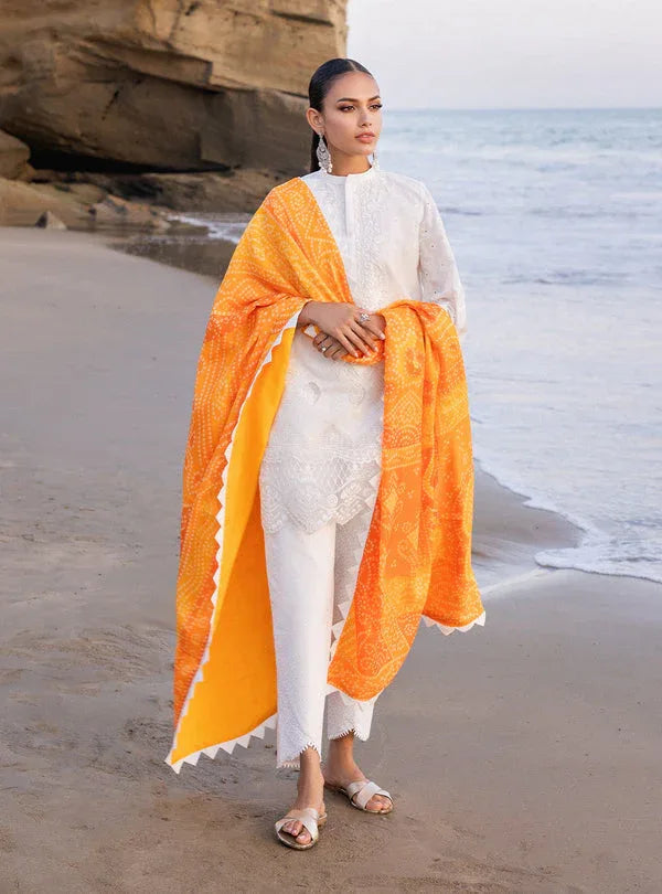 Zainab chottani | Luxury Chikankari 24 | CHUNARI - 3B - Aqsa Fabrics