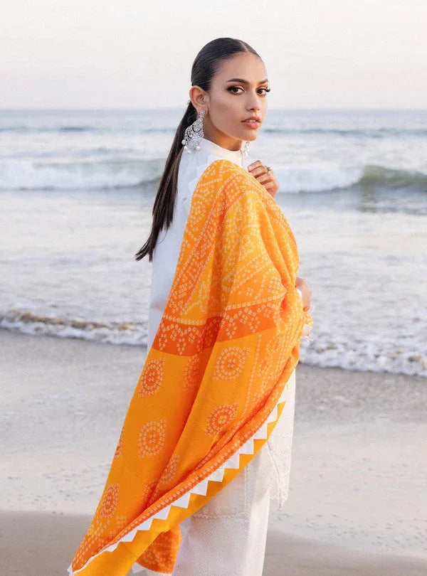 Zainab chottani | Luxury Chikankari 24 | CHUNARI - 3B - Aqsa Fabrics
