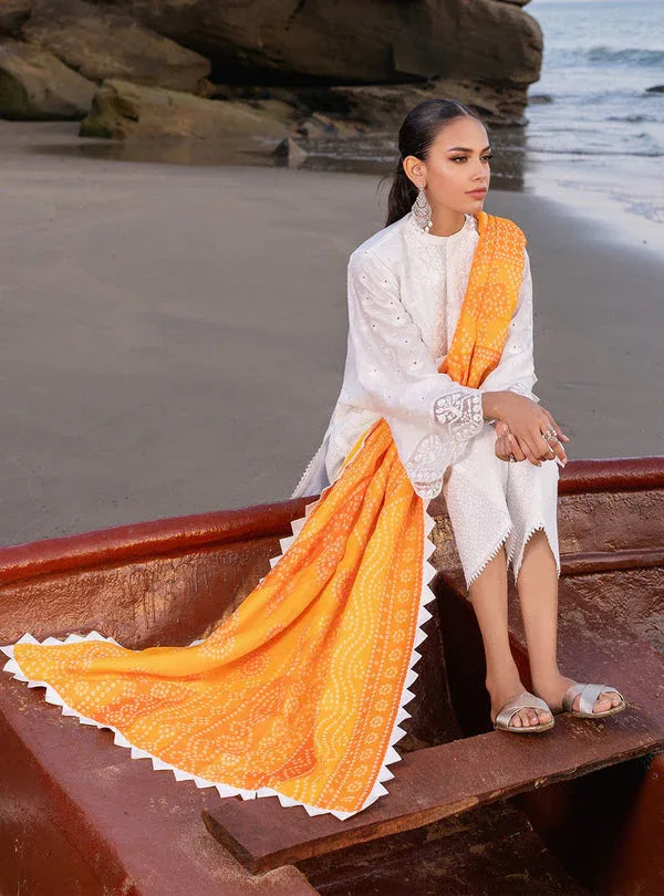 Zainab chottani | Luxury Chikankari 24 | CHUNARI - 3B - Aqsa Fabrics