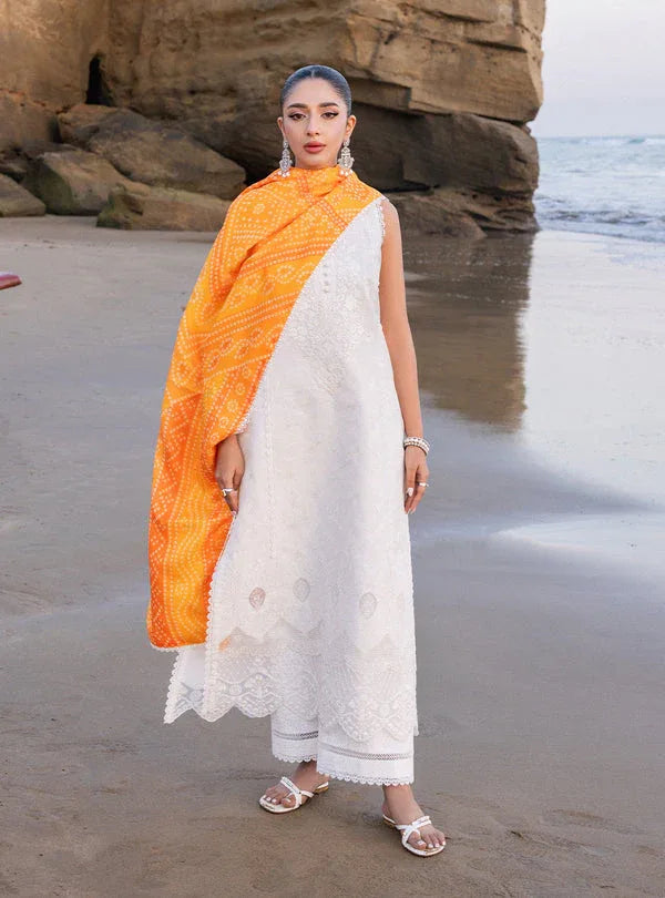 Zainab chottani | Luxury Chikankari 24 | CHUNARI - 3B - Aqsa Fabrics