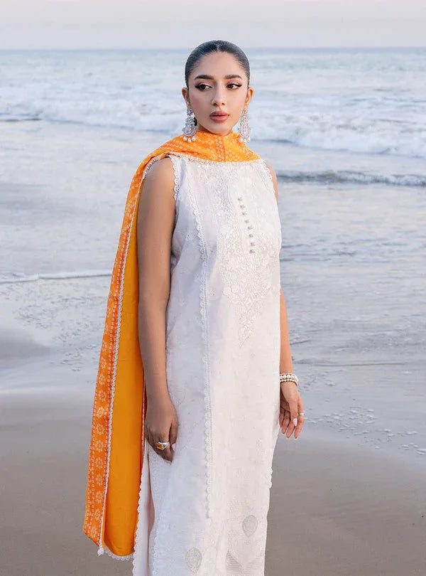 Zainab chottani | Luxury Chikankari 24 | CHUNARI - 3B - Aqsa Fabrics