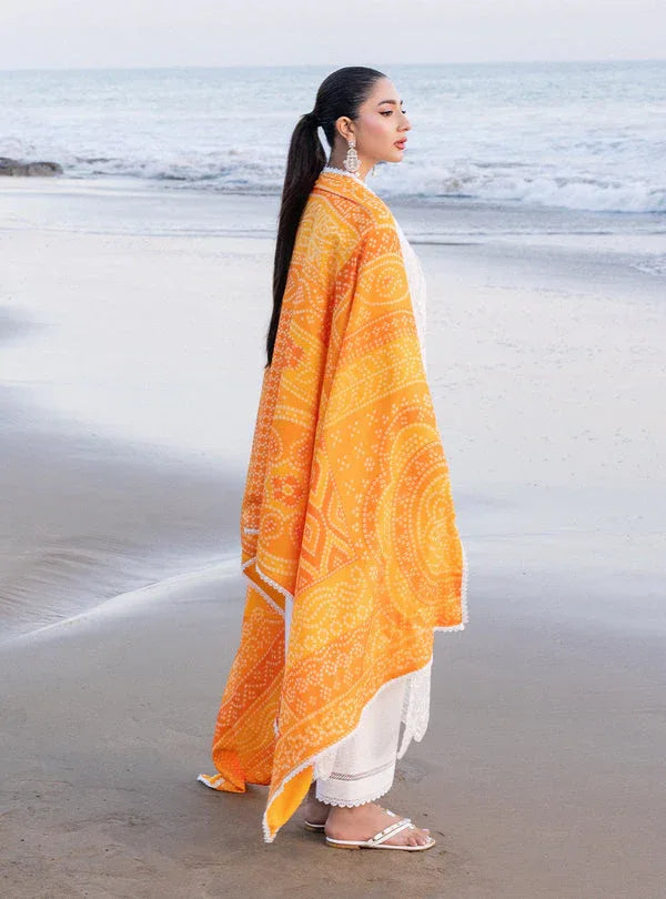 Zainab chottani | Luxury Chikankari 24 | CHUNARI - 3B - Aqsa Fabrics