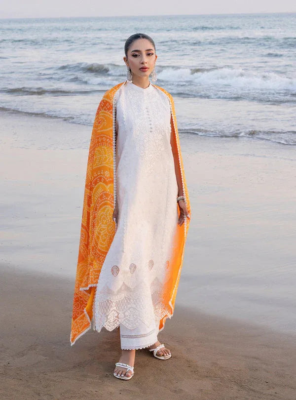 Zainab chottani | Luxury Chikankari 24 | CHUNARI - 3B - Aqsa Fabrics