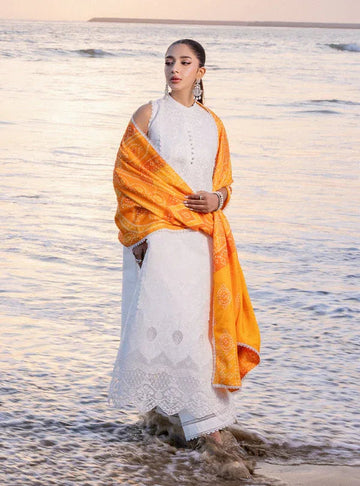 Zainab chottani | Luxury Chikankari 24 | CHUNARI - 3B - Aqsa Fabrics