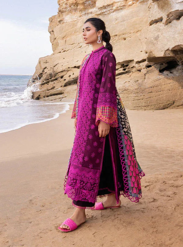 Zainab chottani | Luxury Chikankari 24 | NAYSA - 4B - Aqsa Fabrics