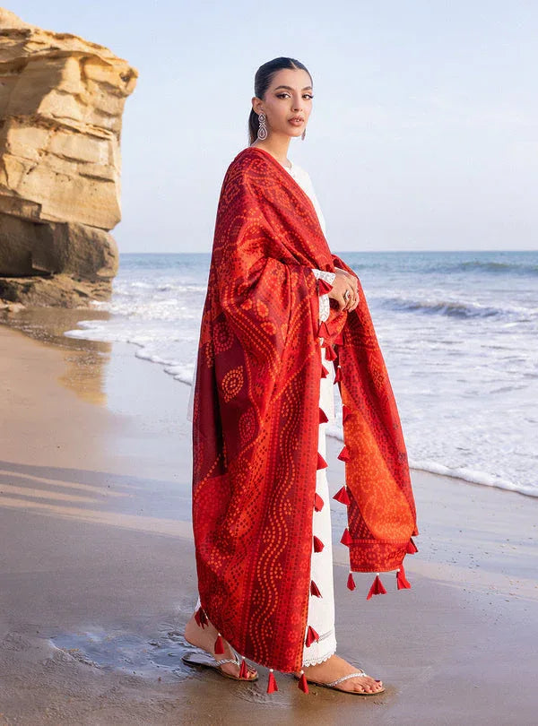 Zainab chottani | Luxury Chikankari 24 | CHUNARI - 3A - Aqsa Fabrics
