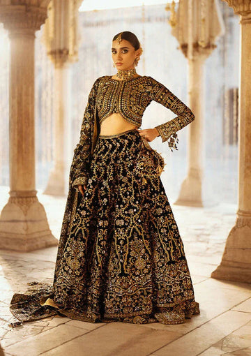Aik Atelier | Dastoor Velvet 24 | DASTOOR - LOOK 01 - Aqsa Fabrics