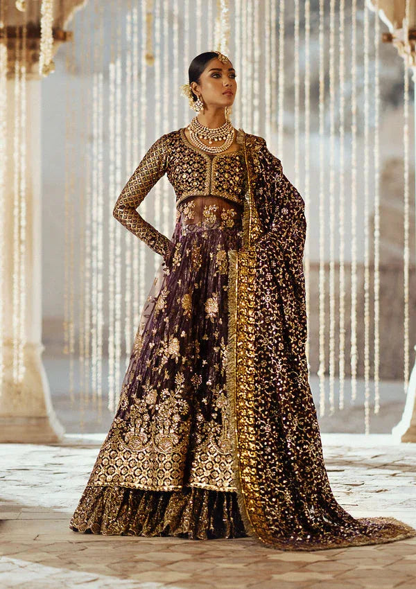Aik Atelier | Dastoor Velvet 24 | DASTOOR - LOOK 10 - Aqsa Fabrics